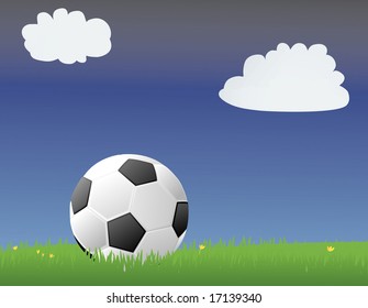 Soccer ball/Football in a green grassy field