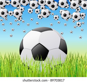 Soccer balls on green grass are shown in the image.