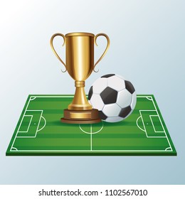 Soccer camp field