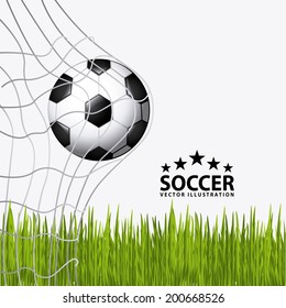soccer design over white background vector illustration