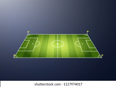 Soccer, european football field in different point of perspective view. Isolated vector illustration. Soccer green field for game