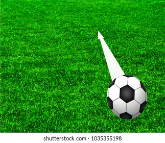 Soccer field isolated,vector illustration