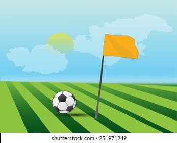 Soccer field morning time.
