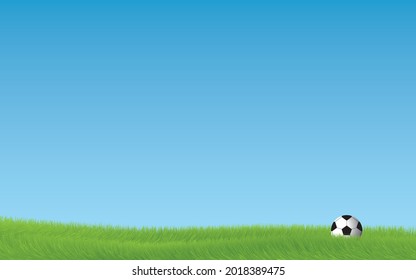Soccer field view - soccer ball on green grass - wallpaper with blue sky and grass