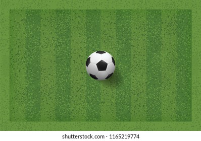 Soccer football ball in green grass field. Vector illustration.