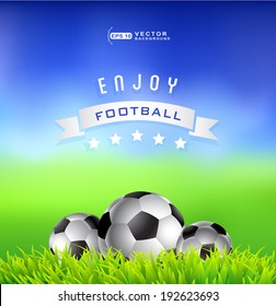 Soccer or Football balls in the grass