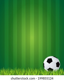 soccer football on grass field. Vector