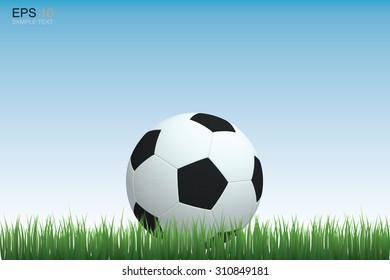 Soccer football on grass field with blue sky. Vector illustration.