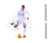 Soccer, football player kicking ball, isolated low poly vector illustration, front view