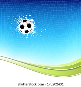 Soccer goal