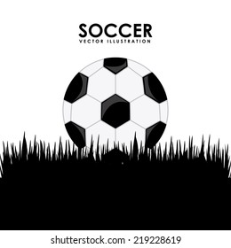 soccer graphic design , vector illustration