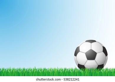 Soccer Ball On Green Grass Background Stock Vector (Royalty Free) 125914397