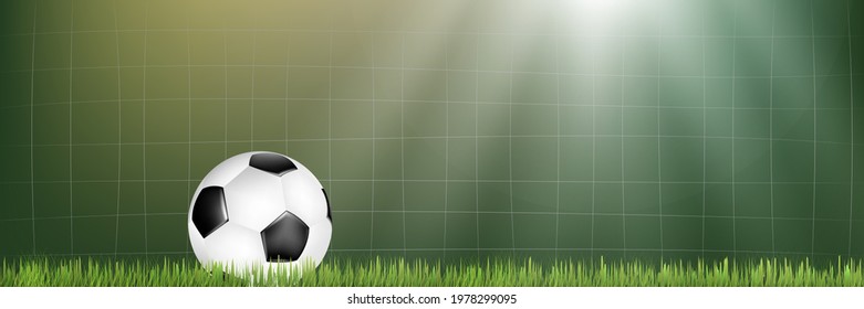 Soccer net and ball on the soccer field 