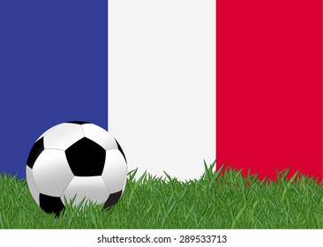 soccer on the football field with France flag background, France is the participating team in football tournament at France on 2016