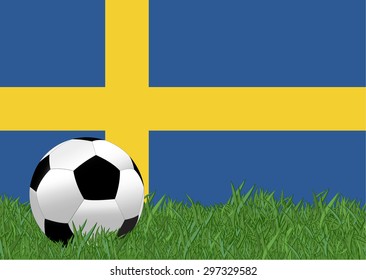 soccer on the football field with Sweden flag background, Sweden is the participating team in football tournament at France on 2016, this design for template of football match