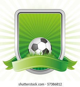 soccer,shield,green background