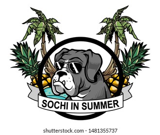 
In Sochi, even pirates rest. Dog, summer Sochi, rest, palm trees, pineapple, sea.