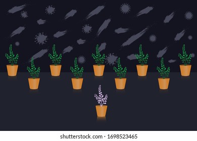 Social distance concept illustration. keep spaced beetween potted plant to make separate place to avoid spreading illness during covid-19 diseases.