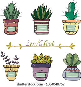 Social distance concept. Set of hand drawn succulents. Flowerpots in masks. Keep distance of 2 meter or 6 feet. Coronavirus Prevention covid-19. Vector illustration design.
