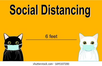 distanciamiento social. gato negro y gato blanco usan mascarilla médica. manténgase a 2 metros para prevenir el virus (covid-19).