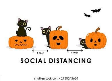 Social distancing (COVID-19) with cute black cat and spooky pumpkin. Animal holidays cartoon character. Corona virus protection-Vector.