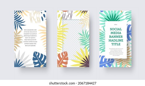 Banner de medios sociales, vectorial post, historias con hojas tropicales, exóticas, brillantes y coloridos elementos abstractos. Plantilla de portada creativa con diseño para negocios publicitarios, productos. Folletos