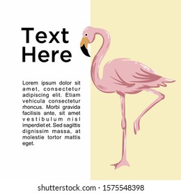 Social media content design. tropical design background