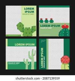Social media design templates with cactus summer plant illustrations