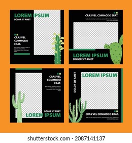Social media design templates with cactus summer plant illustrations
