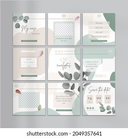 Social media feed, vector template for posts and stories, eucalyptus watercolor elements, for posts or wedding design