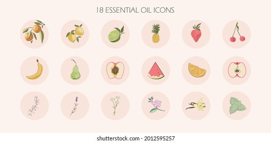 social media highlight cover icons web buttons. circle round infographic with essential oil aromatherapy flavors, fruits. for skin body care, cosmetics, beauty