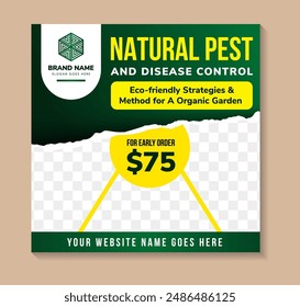 Social media post design template for natural pest and disease control service promotion. green gradient background with abstract yellow shape and place for the photo space.