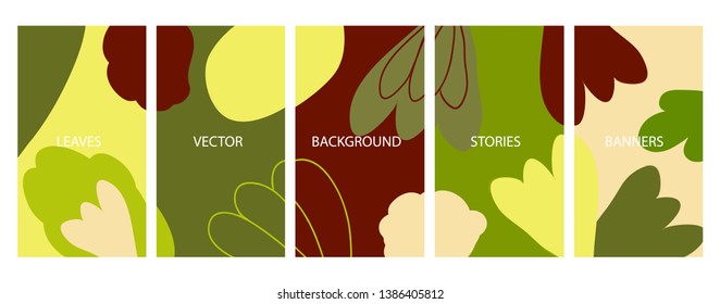 Social media stories banners set, story, floral templates for cover, flyer, brochure, vector backgrounds collection.