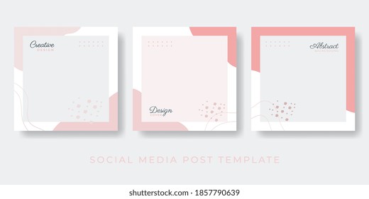 Social Media Stories And Post Creative Vector Set. Background Template With Copy Space For Text And Images Design By Abstract Colored Shapes, Line Arts , Tropical Leaves Warm Color Of The Earth Tone