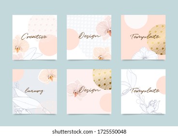 Social media stories and post vector background template with copy space for text and images design by abstract pink and Gold shapes, line arts ,flower, Japanese Cover, invitation design background.