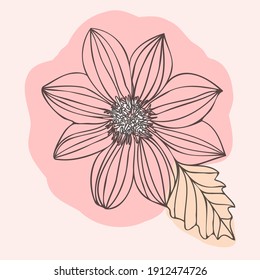 Social media stories and post  Vector image. Background template, abstract coloured shapes, line arts , floral and leaves, warm color of the earth tone