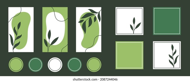 Social media stories, posts, highlights templates set for bloggers. Vector backgrounds in trendy green colors with abstract leaves. Editable template for social networks.