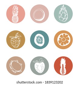 social media Stories Simple line art. Basic Covers outline Icons various fruits. Pineapple, kiwi, pitaya, coconut, strawberries, whole and halves. set of 9 highlights covers. Editable vector on white