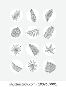 Social media story highlights covers. Abstract flowers and leaves