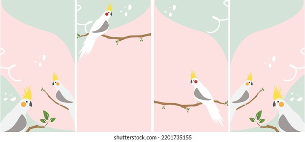 Social media story set with a beautiful cockatiel background