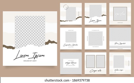 social media template banner fashion sale promotion. . white brown color paper texture vector background. dummy text used