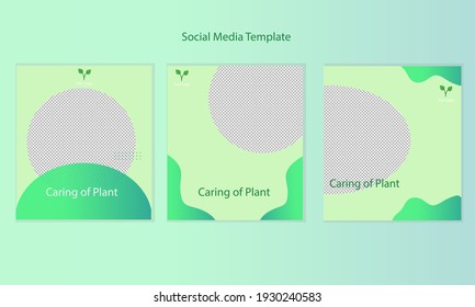 Social media template for your bussines