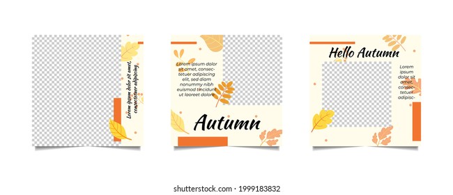 Social media templates Autumn theme. Promotional web banner for social media.