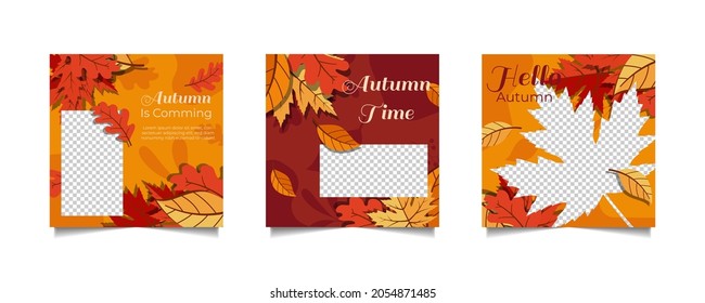 Social media templates Autumn theme. Promotional web banner for social media.