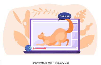 Social media video post about love for cats. Ginger kitty playfully stretches on the laptop screen. Blog about domestic animals. Pet affection, computer with video player vector illustration