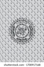 social network icon inside silver badge or emblem. Scales pattern. Vector Illustration. Detailed.