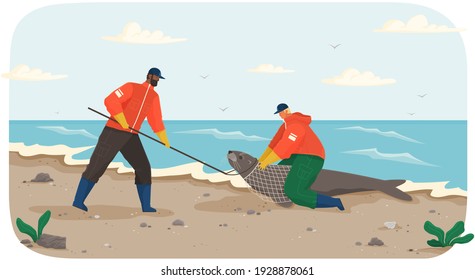 Social workers rescue seal on beach. Volunteers catch animal and get it out of net. Marine mammal is lying on shore under supervision of specialists. People take care of seal and help return to ocean