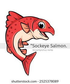 Ilustración de dibujos animados de salmón rojo. animal marino aislado. Colección de dibujos animados de animales. Personaje de dibujos animados Sockeye Salmon fish