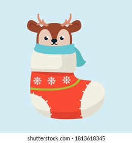 Socks christmas with cute animal