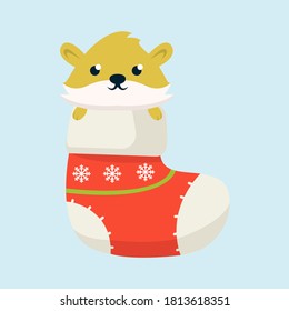 Socks christmas with cute animal